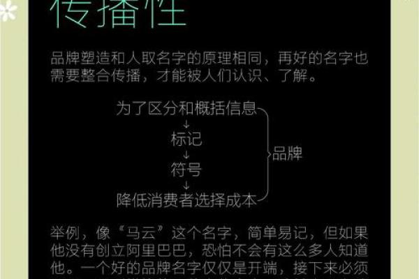 打造品牌形象：公司起名的创意与技巧