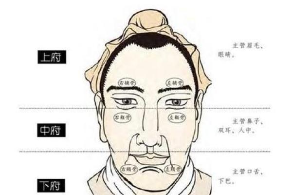 面相揭秘：坏面相男人的神秘面纱