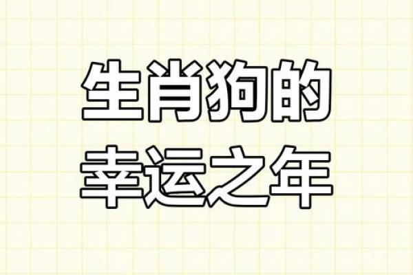 属狗今日运势：转运神器揭秘