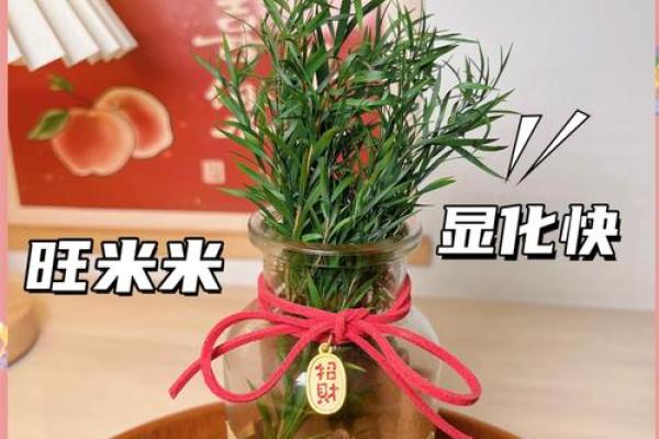肉桂风水秘籍：破解财运禁忌，招财进宝必备！