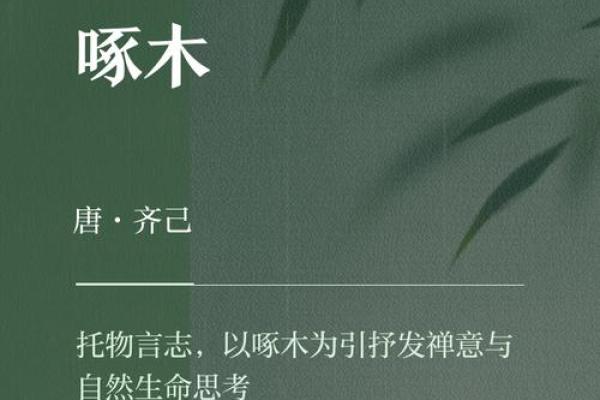 罗木子：木之坚韧，木之生机——探寻罗木子姓名的深厚底蕴与美好未来