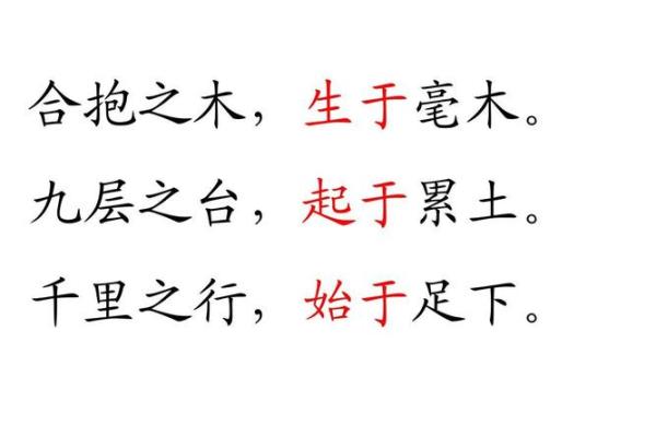 罗木子：木之坚韧，木之生机——探寻罗木子姓名的深厚底蕴与美好未来
