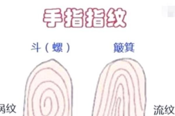 手掌密码，揭秘命运之谜
