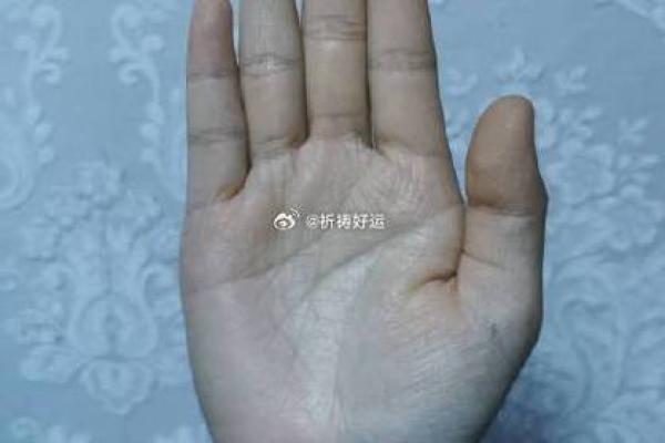 手掌密码，揭秘命运之谜