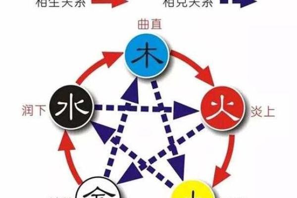 张五行属什么？五行分析揭示命名玄机