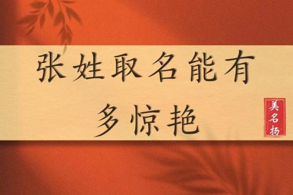 张姓鸡宝宝取名佳选