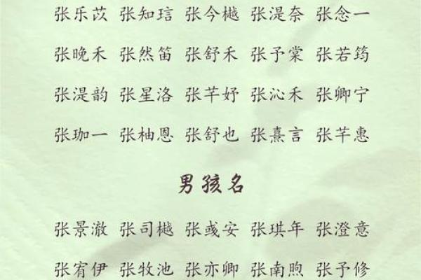 张姓鸡宝宝取名佳选