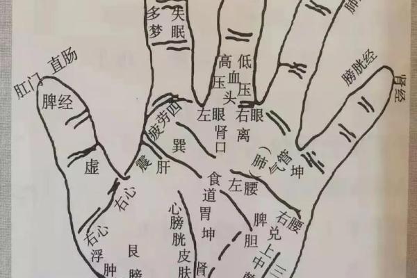 病了手相揭秘：揭秘身体健康的密码