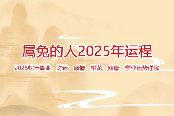 兔年运势爆表：你的财运、事业、健康大揭秘