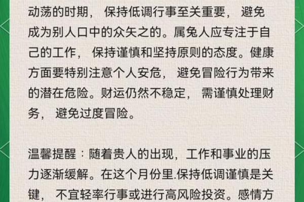 兔年运势爆表：你的财运、事业、健康大揭秘