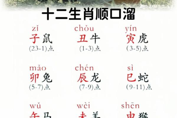 寅时亥时猪宝宝名字精选