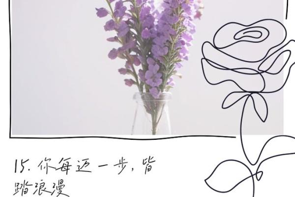 辰毅：星光璀璨，毅力非凡，未来可期！