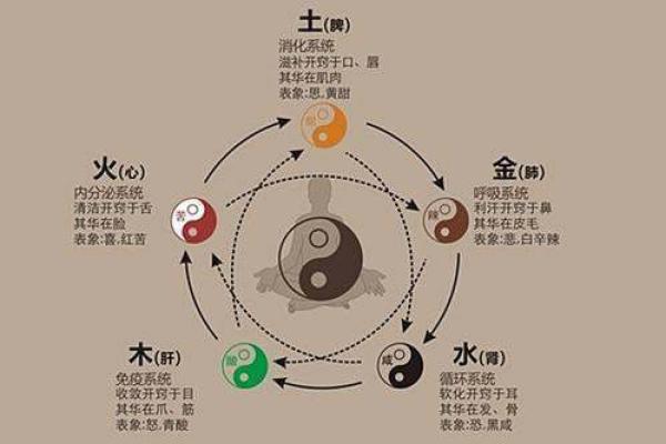 探索生辰八字系统中的五行力量
