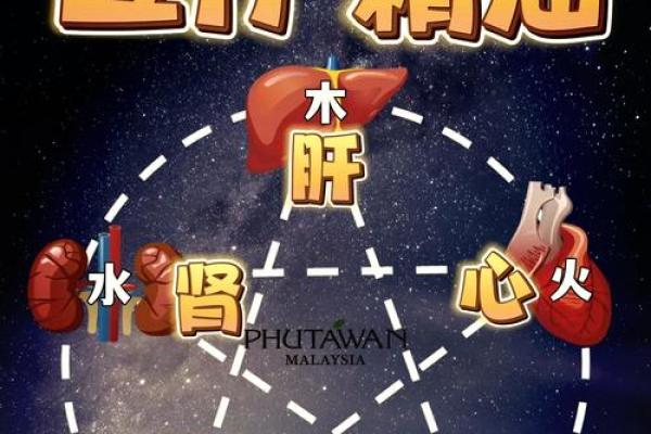 探索思字五行的能量