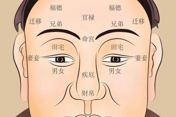 额头遮面相：揭秘隐藏在发丝下的神秘命运