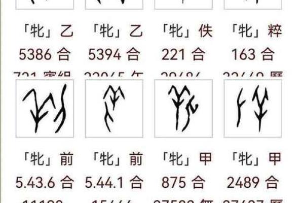 凰字在五行中的分类与象征