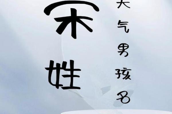 男孩姓宋起名的最佳选择与建议