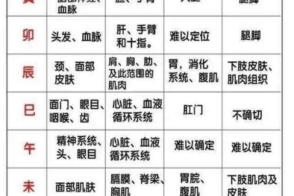 八字中的秘密武器：地支性格特点大曝光