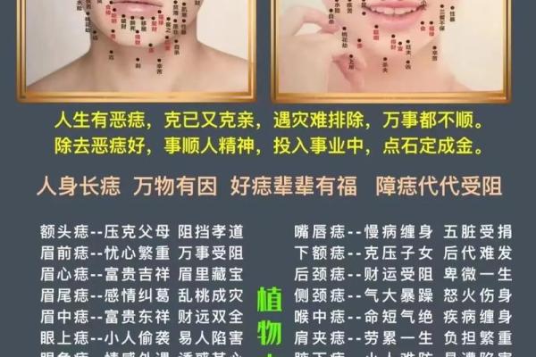 痣里乾坤：揭秘女人面痣的神秘魅力