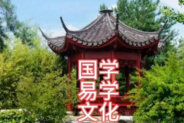 传承与创新：中华易学文化大会中的传统智慧