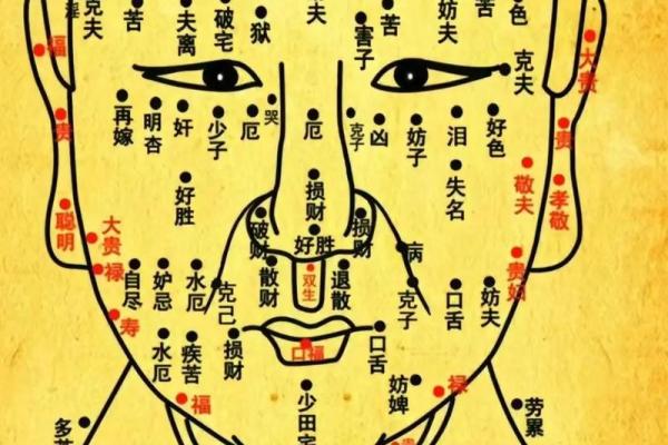 痣相大全图解：揭秘面相痣相的神奇奥秘