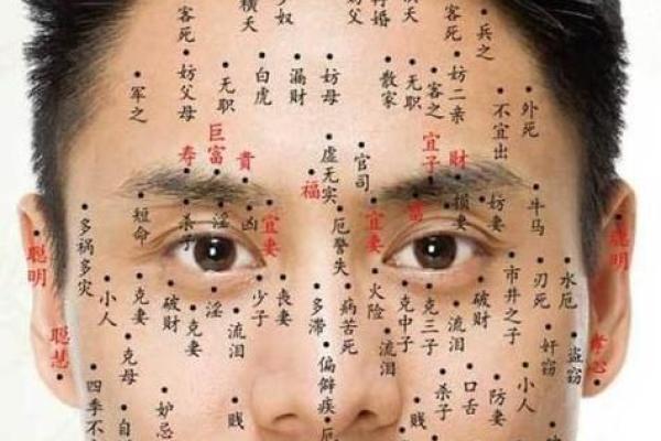 痣相大全图解：揭秘面相痣相的神奇奥秘