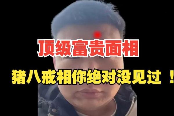 富贵相之秘：面相中的财富密码