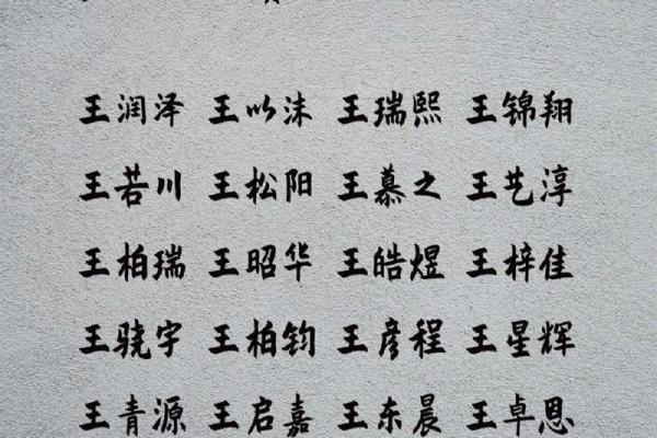 如何为王姓男孩起一个有深意的名字