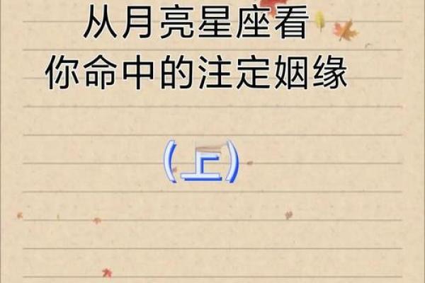 藏妻星八字解析：揭秘你命中注定的良缘佳人