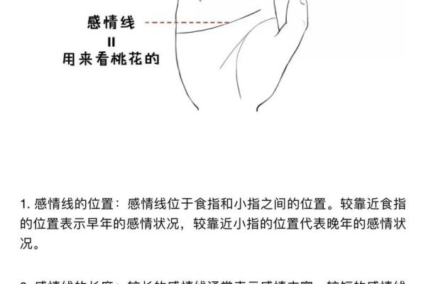 一手掌握运势，11线手相解读你的未来！