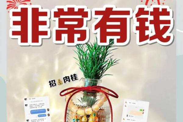 生肖招财风水摆件，财运亨通秘籍