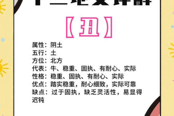 神秘天干地支，揭秘你的命运轨迹