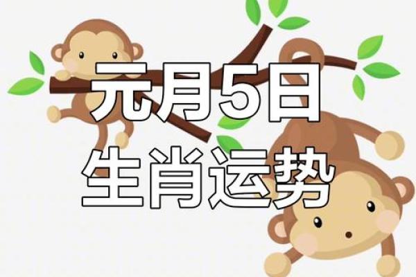 兔年运势如何？幸运与挑战并存