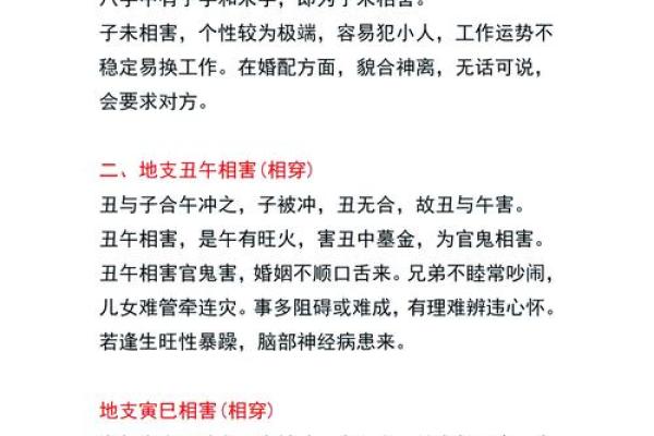 地支运势与健康密码，你的身体问题在哪里？