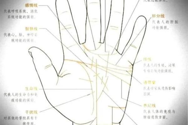 爆款手相学：色痣纹背后的财运、健康秘密