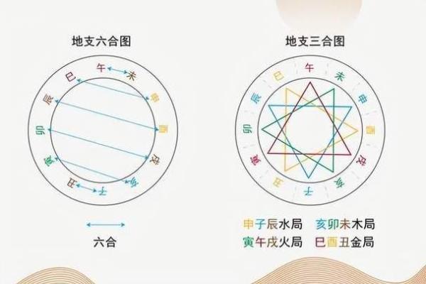 地支配对大揭秘：找出你的最佳生肖伴侣