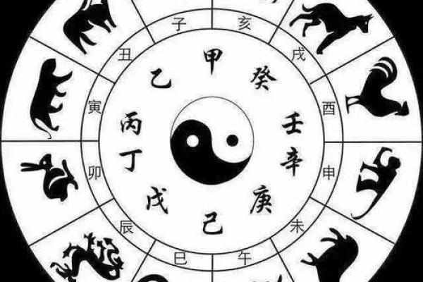 地支配对大揭秘：找出你的最佳生肖伴侣