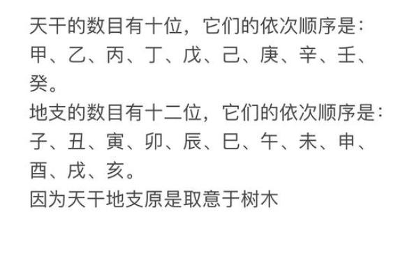 一气贯穿，揭秘天干地支的奥秘