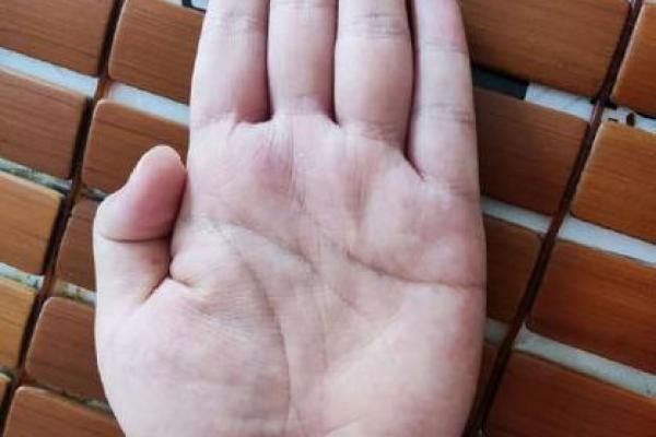 手中藏秘密：手相学带你探索命运之谜