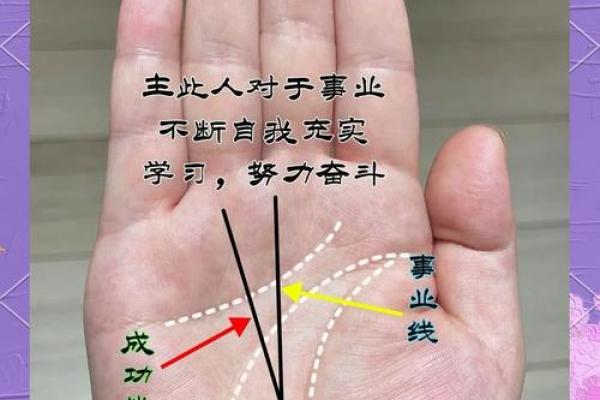 手中藏秘密：手相学带你探索命运之谜