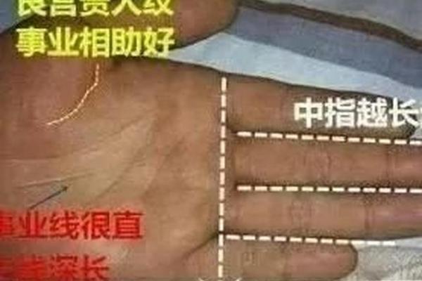 改变命运，只需一掌相！