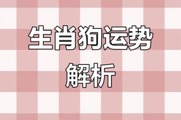 属狗人的下半年运势走势