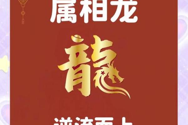 属龙运势解析 属龙人财运与感情运势全面分析