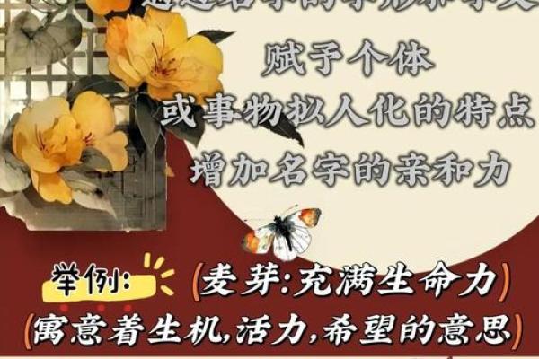 可馨名字打分解析：揭示其背后的寓意与影响
