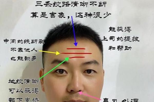 面相之谜：眼皮多重褶皱揭秘