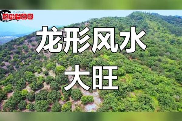 风水学视角解析：老板死因与环境因素的潜在联系