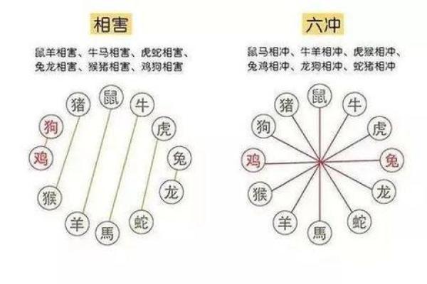 六冲六害，揭秘十二生肖间的神秘关系