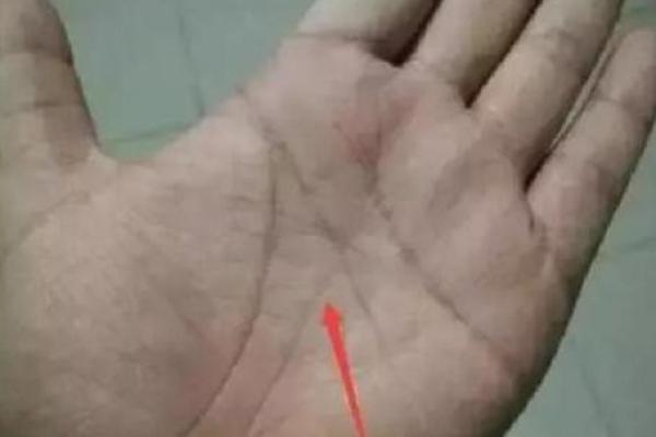 男人的通天纹，财运亨通的奥秘揭秘