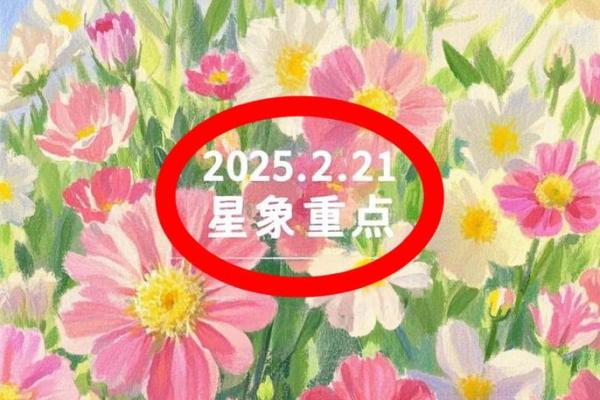 双鱼运势大揭秘：今日惊喜连连