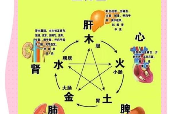 光在五行中的分类与作用